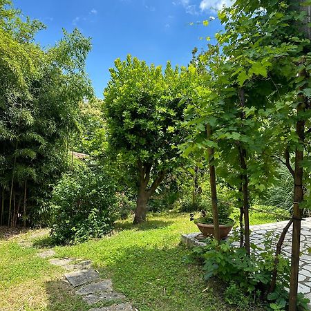 Secret Garden House Daire Lovran Dış mekan fotoğraf