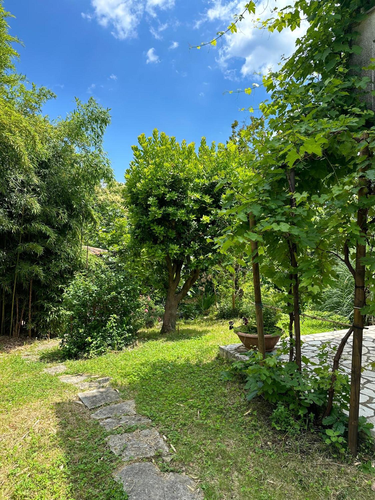 Secret Garden House Daire Lovran Dış mekan fotoğraf