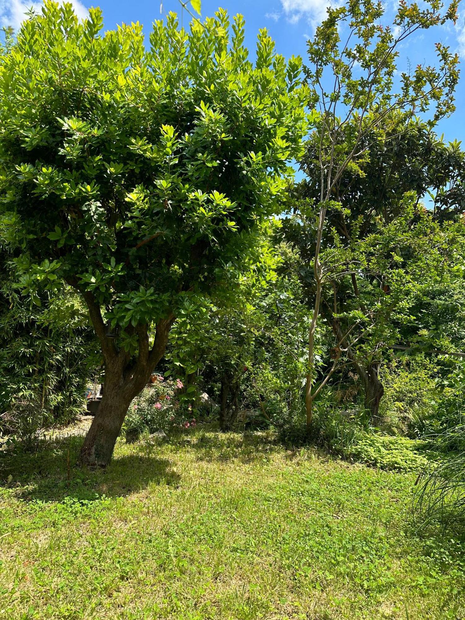 Secret Garden House Daire Lovran Dış mekan fotoğraf
