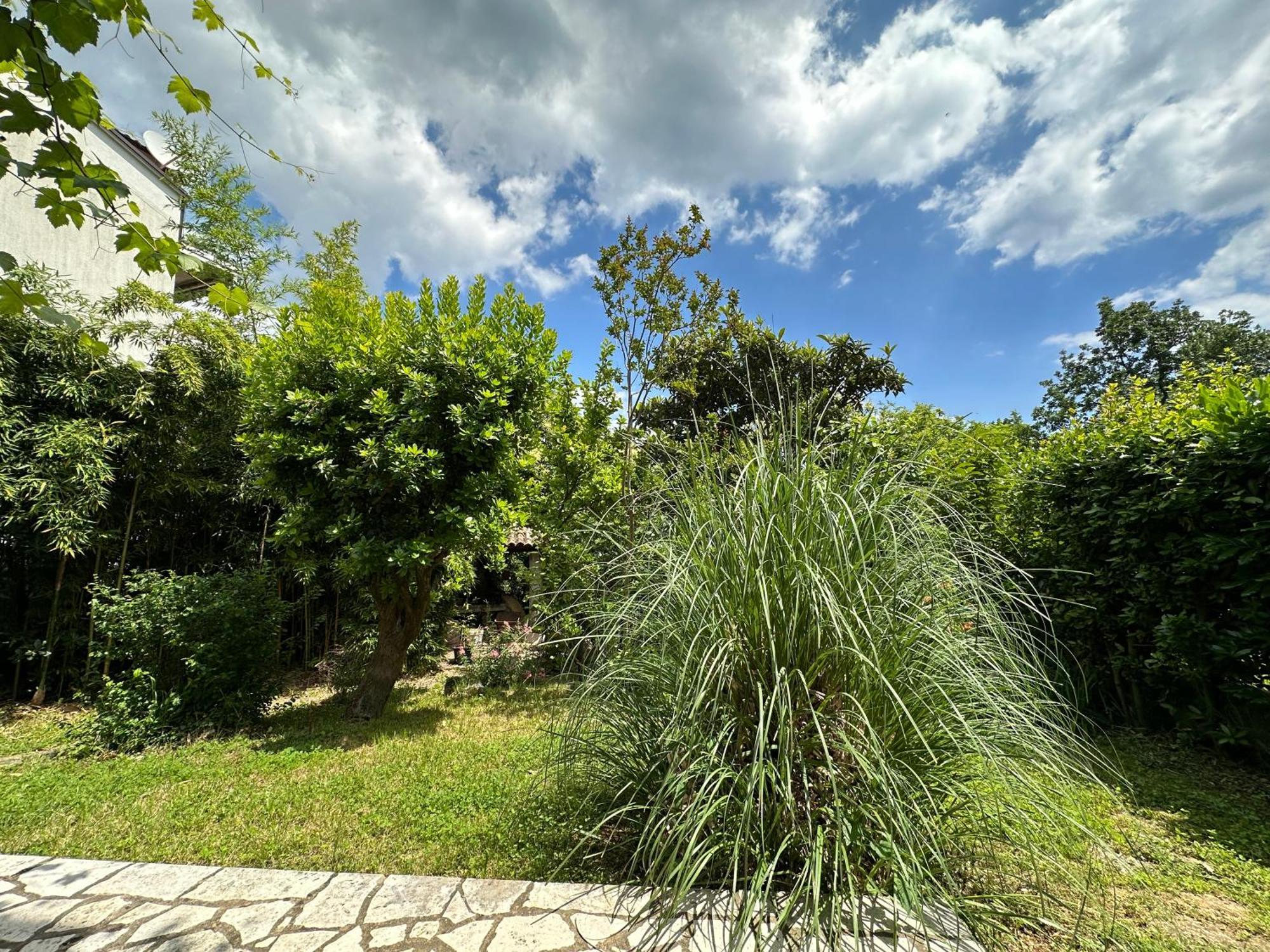 Secret Garden House Daire Lovran Dış mekan fotoğraf